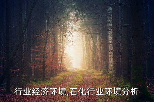 行业经济环境,石化行业环境分析