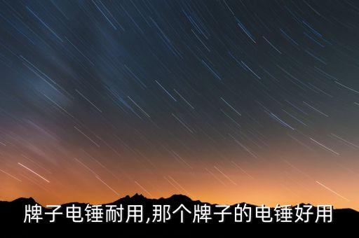 牌子电锤耐用,那个牌子的电锤好用