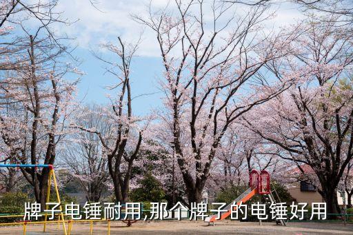 牌子电锤耐用,那个牌子的电锤好用