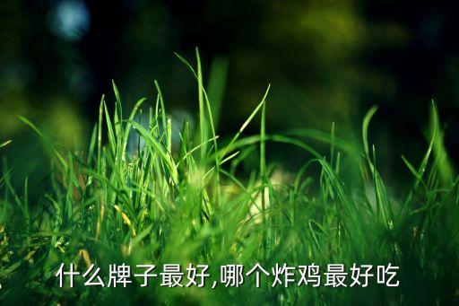 什么牌子最好,哪个炸鸡最好吃