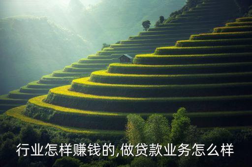行业怎样赚钱的,做贷款业务怎么样