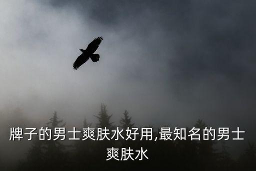 哪个牌子的男士爽肤水好用,最知名的男士爽肤水