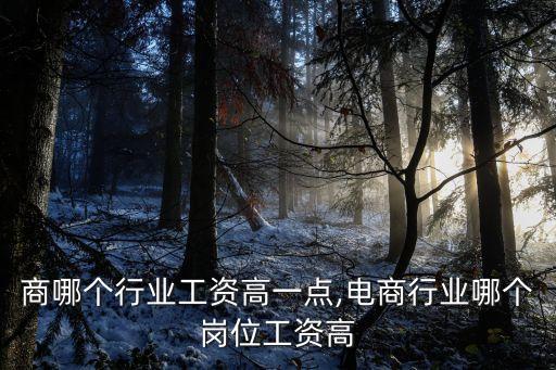 做电商哪个行业工资高一点,电商行业哪个岗位工资高