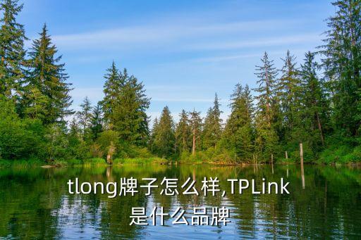 tlong牌子怎么样,TPLink是什么品牌