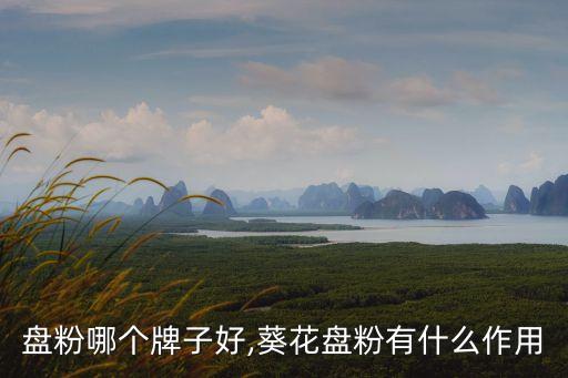盘粉哪个牌子好,葵花盘粉有什么作用