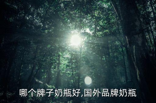 美国哪个牌子奶瓶好,国外品牌奶瓶