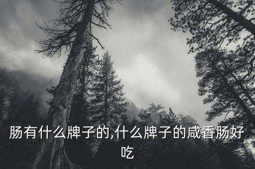 早餐肠有什么牌子的,什么牌子的咸香肠好吃?