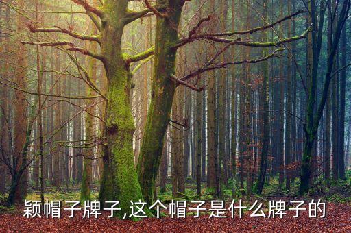 陈新颖帽子牌子,这个帽子是什么牌子的?