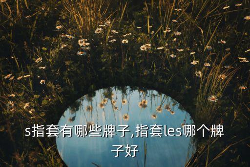 s指套有哪些牌子,指套les哪个牌子好