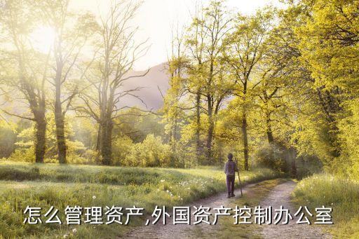 国外怎么管理资产,外国资产控制办公室