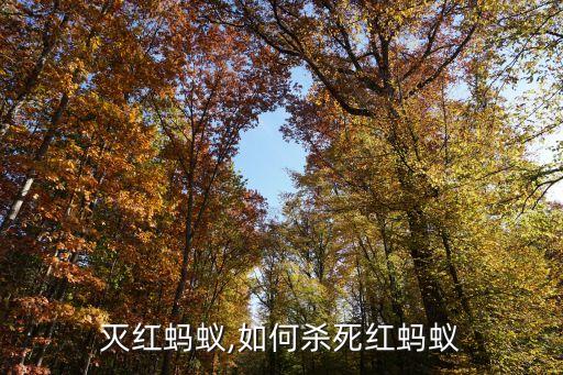 灭红蚂蚁,如何杀死红蚂蚁