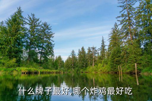 什么牌子最好,哪个炸鸡最好吃