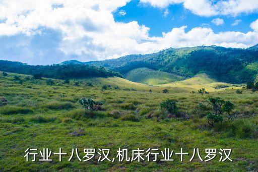 行业十八罗汉,机床行业十八罗汉