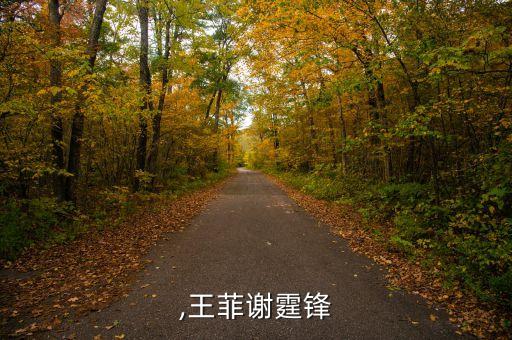 霆锋,王菲谢霆锋