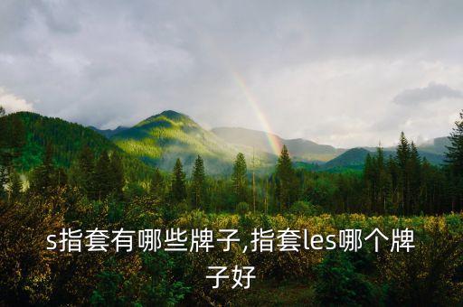 s指套有哪些牌子,指套les哪个牌子好