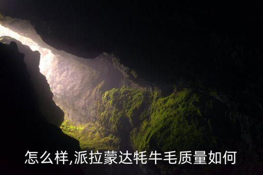 蒙达怎么样,派拉蒙达牦牛毛质量如何?
