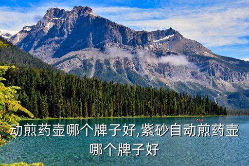 动煎药壶哪个牌子好,紫砂自动煎药壶哪个牌子好