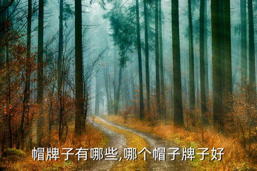 棒球帽牌子有哪些,哪个帽子牌子好?