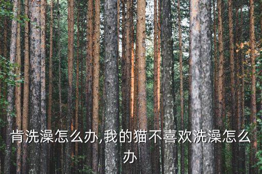 猫不肯洗澡怎么办,我的猫不喜欢洗澡怎么办?
