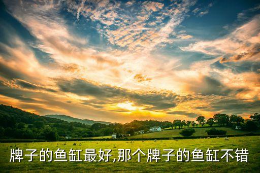 哪个牌子的鱼缸最好,那个牌子的鱼缸不错