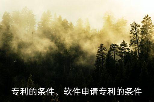 申请专利的条件、软件申请专利的条件