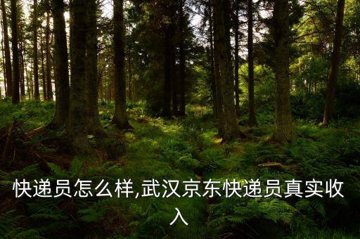 京东快递员怎么样,武汉京东快递员真实收入