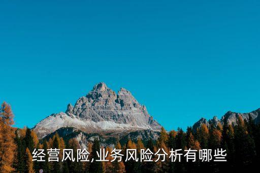 经营风险,业务风险分析有哪些
