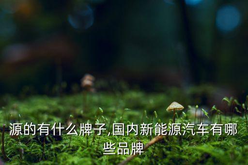 新能源的有什么牌子,国内新能源汽车有哪些品牌?
