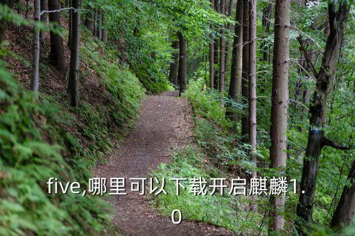 sifive,哪里可以下载开启麒麟1.0?