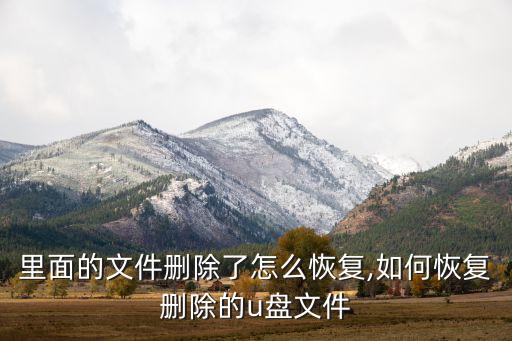 u盘里面的文件删除了怎么恢复,如何恢复删除的u盘文件?
