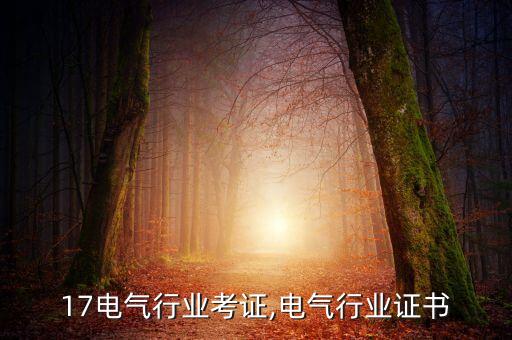 17电气行业考证,电气行业证书