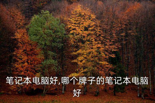 哪种笔记本电脑好,哪个牌子的笔记本电脑好?