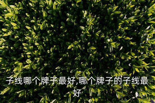 钓鱼子线哪个牌子最好,哪个牌子的子线最好?