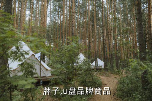 u盘 牌子,u盘品牌商品