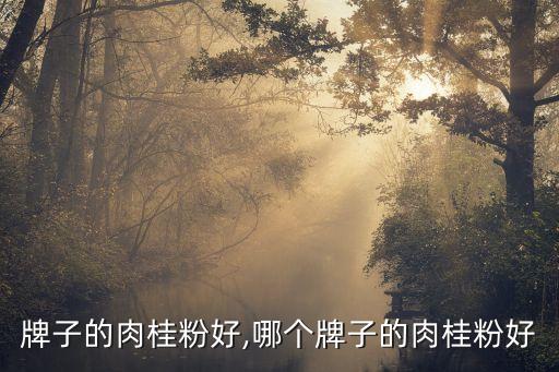 哪个牌子的肉桂粉好,哪个牌子的肉桂粉好?