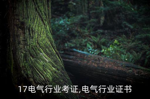17电气行业考证,电气行业证书