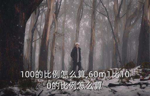 100的比例怎么算,60m1比100的比例怎么算