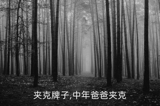爸爸夹克牌子,中年爸爸夹克