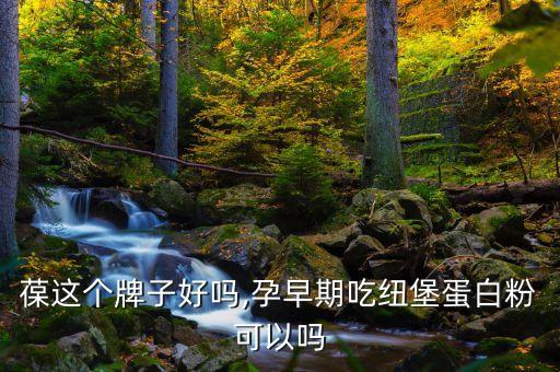 葆这个牌子好吗,孕早期吃纽堡蛋白粉可以吗
