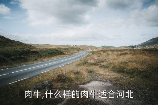 肉牛,什么样的肉牛适合河北