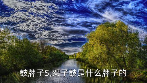 架子鼓牌子S,架子鼓是什么牌子的?