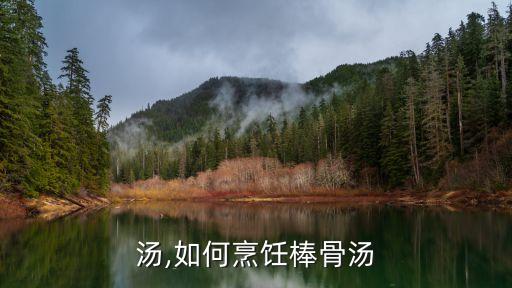 汤,如何烹饪棒骨汤