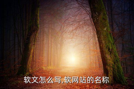 网站软文怎么写,软网站的名称