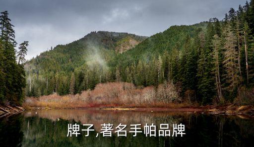 手绢牌子,著名手帕品牌