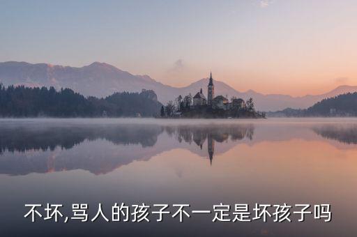 不坏,骂人的孩子不一定是坏孩子吗