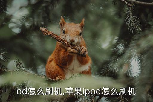 ipod怎么刷机,苹果ipod怎么刷机