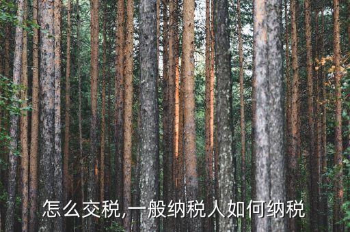 石油怎么交税,一般纳税人如何纳税?