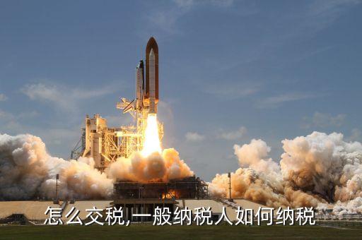 怎么交税,一般纳税人如何纳税