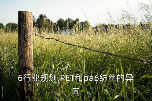 pa6行业规划,PET和pa6纺丝的异同
