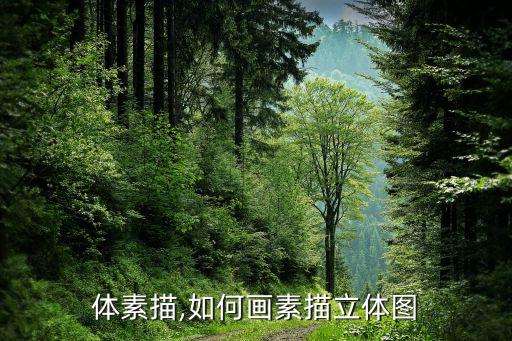 立方体素描,如何画素描立体图
